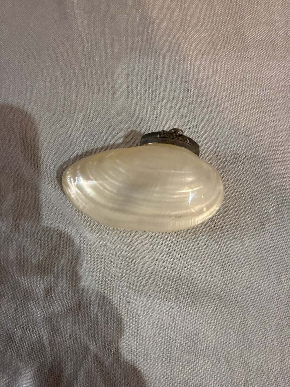 Vintage Mother Of Pearl Shell Hinged Trinket Box Snuff Box Pill Box